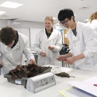 Environmental Studies (27 edit)