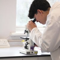 Flower dissection (2)