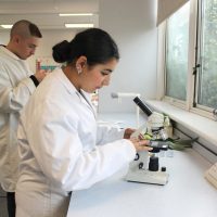 Flower dissection (4)